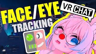 Eye Tracking and Face Tracking - All Headsets, VRCFaceTracking, EyeTrackVR, Project Babble - VRChat