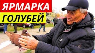 ЯРМАРКА ГОЛУБЕЙ г.Павлоград 09.11.2024 Голуби▶ Продажа▶ Цены 1-я часть