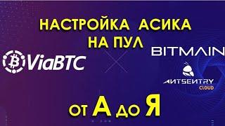 Настройка асика: Как настроить асик на пул?  Как потом выводить? Краткий обзор Пула Via BTC