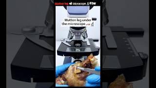 Mutton leg को Microscope  में देखा||Science Fact Fusion #sciencefacts #shorts