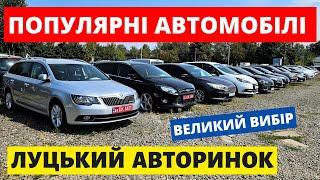 ЛУЦЬКИЙ АВТОРИНОК // ЦІНИ НА АВТОМОБІЛІ // 03.10.2024 #колоритмоторс #автопідбір #автобазар