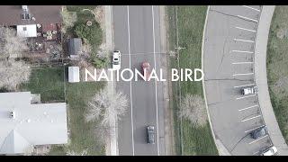 Sole & DJ Pain 1 "National Bird"