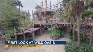 First look at 'Wild Oasis,' the newest attraction coming to Busch Gardens