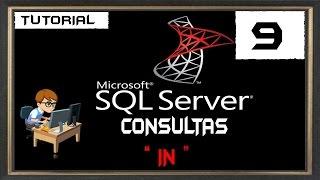 Curso básico Microsoft SQL server #9- In (consultas)