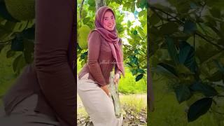 Jilbab Sange