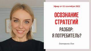 Осознание стратегий. Разбор: я потребитель? Екатерина Лим.