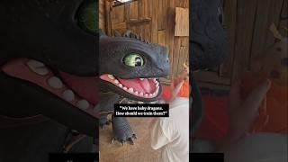 How DO You Train Dragons?  Meeting Toothless at Epic Universe