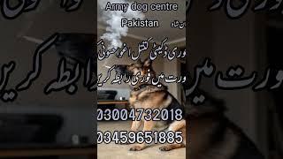 army dog centre mandi bahauddin service all Pakistan ma mojod ha