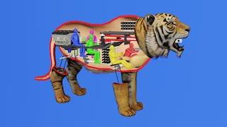 How a tiger works