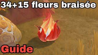 34+15 FLEURS BRAISEES Guide Genshin Impact FR