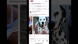 Credits: grey the Dalmatian 🫶