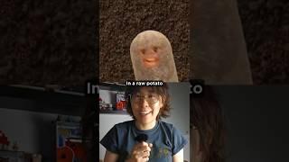 Why Do Potatoes Go Soft but Eggs Go Hard?