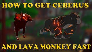 HOW TO GET CERBERUS AND LAVA GORILLA FAST | Roblox Animal Simulator