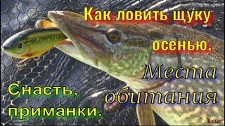 Как ловить щуку осенью . Снасть, приманки . Места обитания .