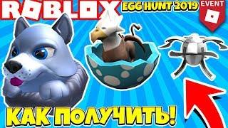 КАК ПОЛУЧИТЬ ЯЙЦО ВОЛКА, ОРЛА, ДРОН В РОБЛОКС ИВЕНТ! ROBLOX EGG HUNT EVENT 2019 #8