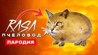 ПЕСНЯ ПРО КОШКУ КАРТОШКУ Rasa ПЧЕЛОВОД ПАРОДИЯ мем кошка картошка прикол из тик тока клип история