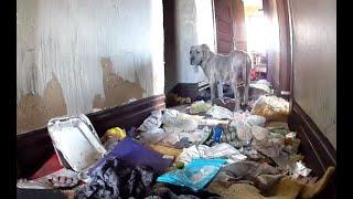 Never leave a mom behind - Stray Rescue of St.Louis