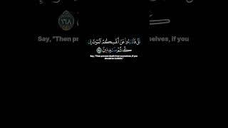 "Rather, they are alive" - Surah Ali 'Imran 166 - 169 #quran #islam