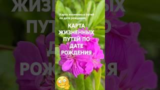 Карта жизненных путей по дате рождения / Эзотерика Нумерология Гороскоп Знаки Зодиака Астрология