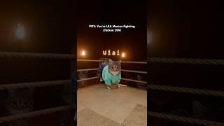 POV Fighting against Chicken Jockey UIAI