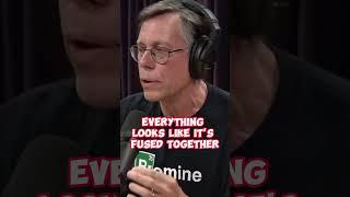 Bob Lazar's  Insight on Alien Spaceship  Shape & Color!  #shorts #aliens #conspiracy