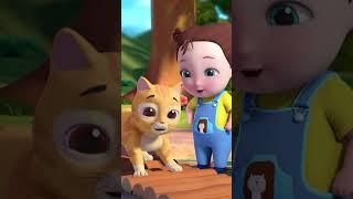 Build It Wood & Sticks | Nursery Rhymes & Kids Songs | NuNu Tv