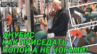 АНУБИС. КАК ПРИСЕДАТЬ ПОПОЙ,А НЕ НОГАМИ!