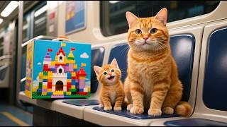 Mama Cat Sells Japanese Mochi So Kitten Could Buy a Lego Castle 