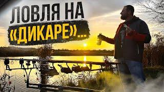 Ловля на «дикаре»! Трофейная рыба, где ты?!