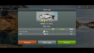 My Fishing World : Толстолобик (Ежедневное Задание, Долина Камней) #myfishingworld