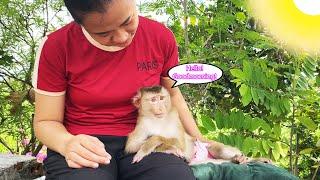 Monkey Lyly has a peaceful morning with her mother with all her love.