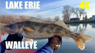 Walleye - Lake Erie  Boat TROLLING winter charter fishing 4K