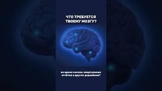 ЧТО ТРЕБУЕТСЯ ТВОЕМУ МОЗГУ ? ⤵️