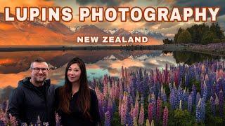 LUPINS PHOTOGRAPHY - New Zealand