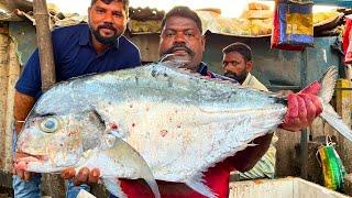 KASIMEDU  SPEED SELVAM | BIG DIAMOND TREVALLY FISH CUTTING VIDEO | IN KASIMEDU | FF CUTTING 