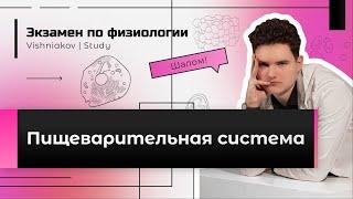 Экзамен по физиологии | ПИЩЕВАРИТЕЛЬНАЯ СИСТЕМА