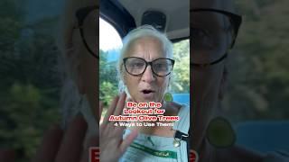 What are Autumn Olive Trees and How to use their berries #foraging #farmingafter50 #autumnolive