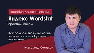 Как пользоваться Яндекс Wordstat и на что обратить особое внимание