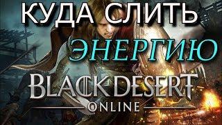 black desert Куда потратить?слить?Очки энергии-Консервация в банки