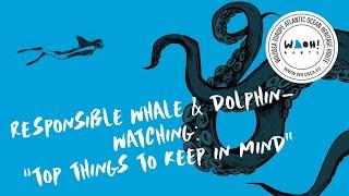 Responsible whale & dolphin-watching: "Top things to keep in mind"