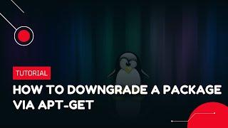 How to downgrade a Package via apt-get | VPS Tutorial