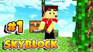 СКАЙБЛОК WESTERN НА КРИСТАЛИКСЕ!!! Minecraft Cristalix SkyBlock