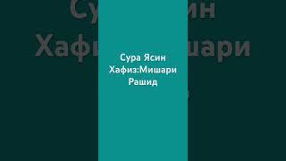 Сура Ясин Хафиз:Мишари Рашид