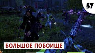 TES 4: OBLIVION REMASTERED (ПОДРОБНОЕ ПРОХОЖДЕНИЕ) #57 - БОЛЬШОЕ ПОБОИЩЕ