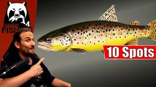 Russian Fishing 4 - Belaja - Die 10 Besten Spots