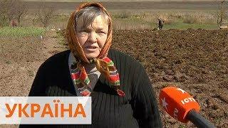 Самоизоляция за городом: как соблюдать карантин на даче