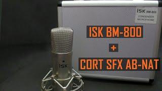 Tes Mic ISK BM-800 + Cort SFX AB-NAT