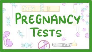 GCSE Biology - How do Pregnancy Tests Work?