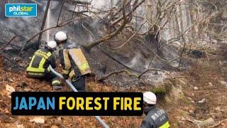 Japan firefighters battle forest blaze in Iwate