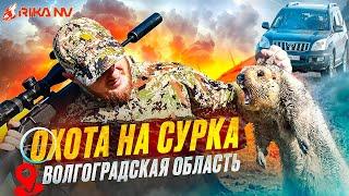 Охота на сурка в Волгоградской области! Высокоточная стрельба от Максима Гончарова!